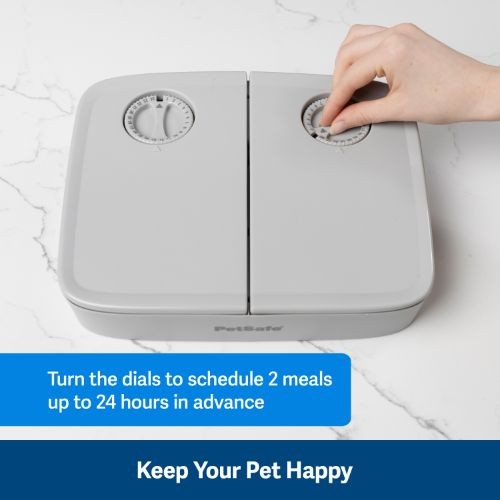PetSafe Automatic 2 Meal Pet Feeder