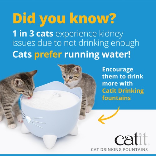 Catit Pixi Cat Water Fountain - Mint Green