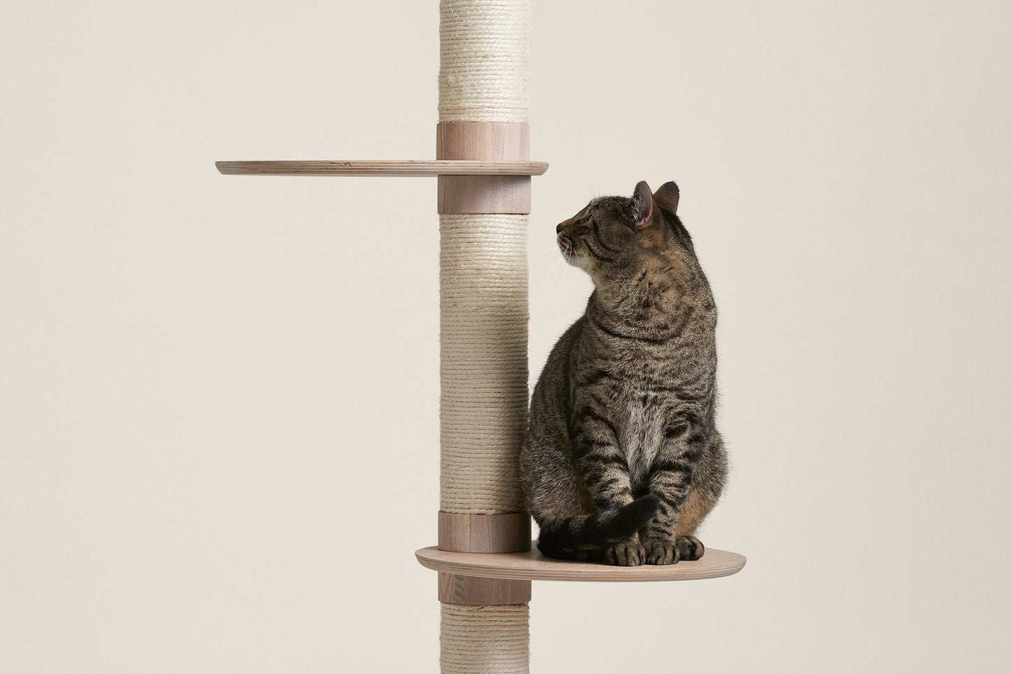 Frond Cat Tree
