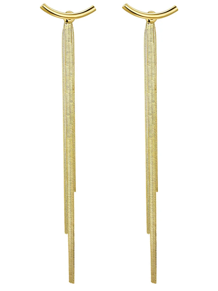 Tassel Earrings — Zoovio