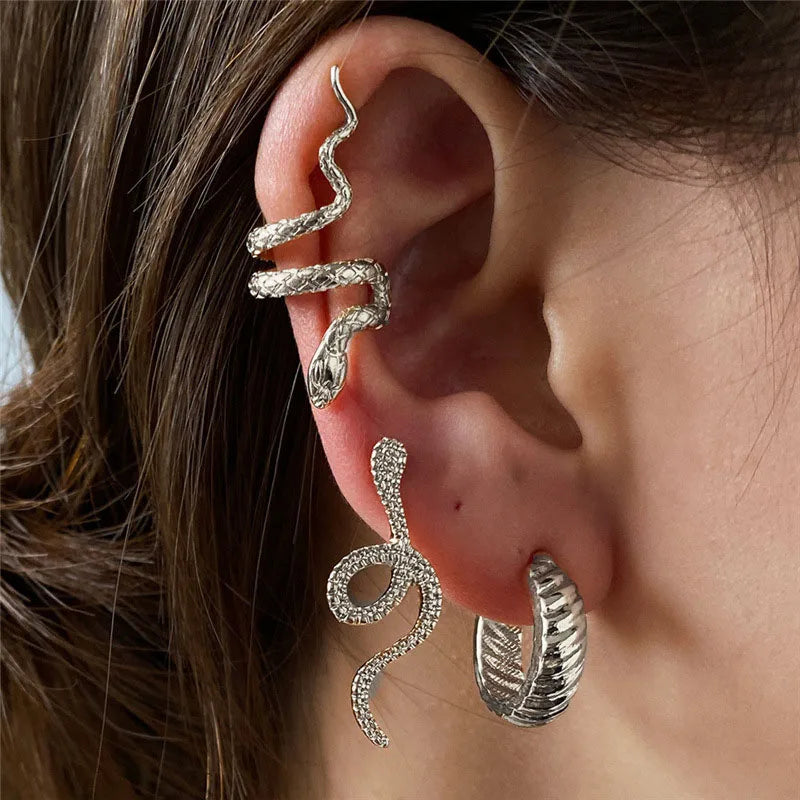Set Snake Shape Earrings