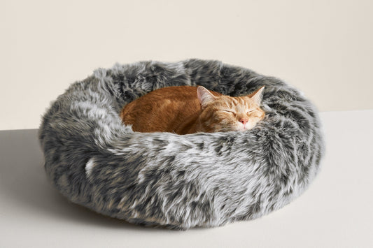 Nuzzle Cat Bed