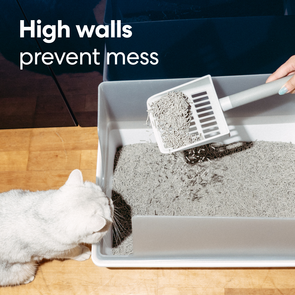 Cubby Litter Box
