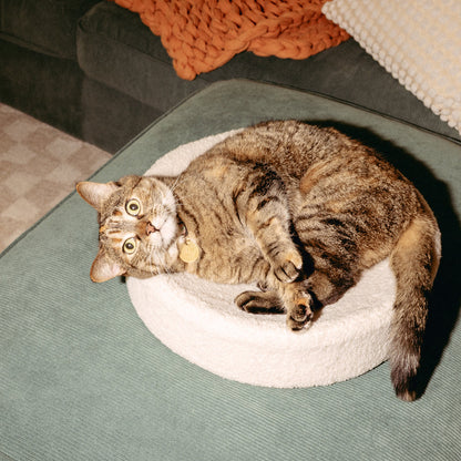 Kip Cat Bed